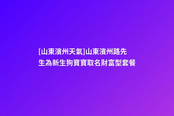 [山東濱州天氣]山東濱州路先生為新生狗寶寶取名財富型套餐-第1張-公司起名-玄機派